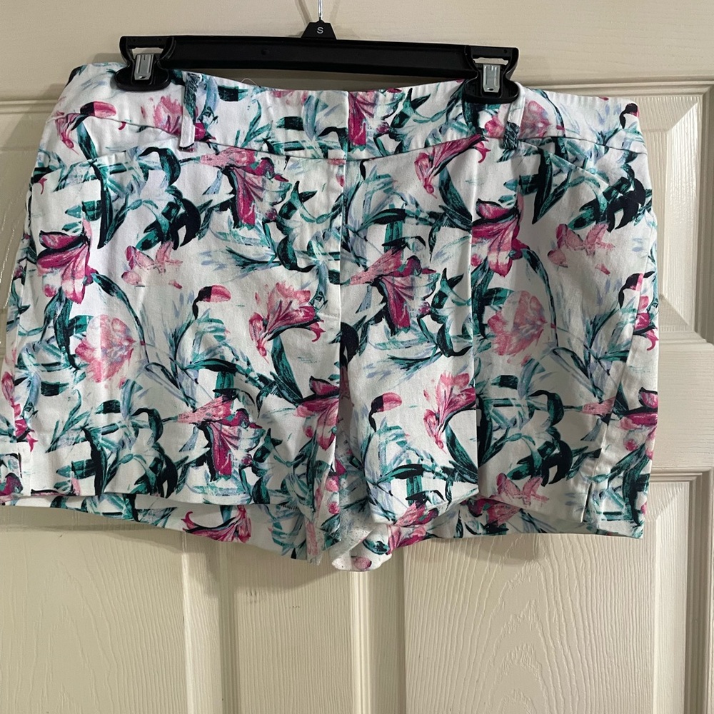 White House Black Market Shorts